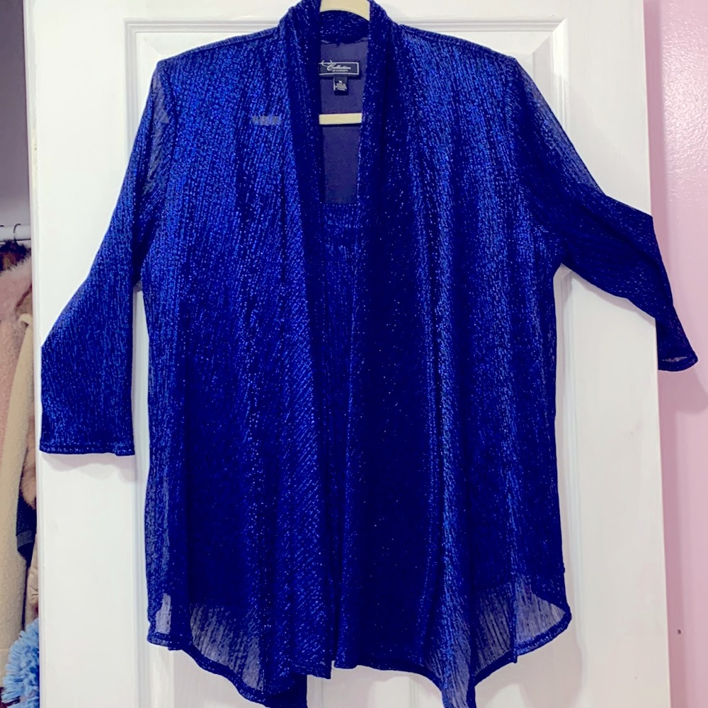Dress Barn Blue Sheer Blouse